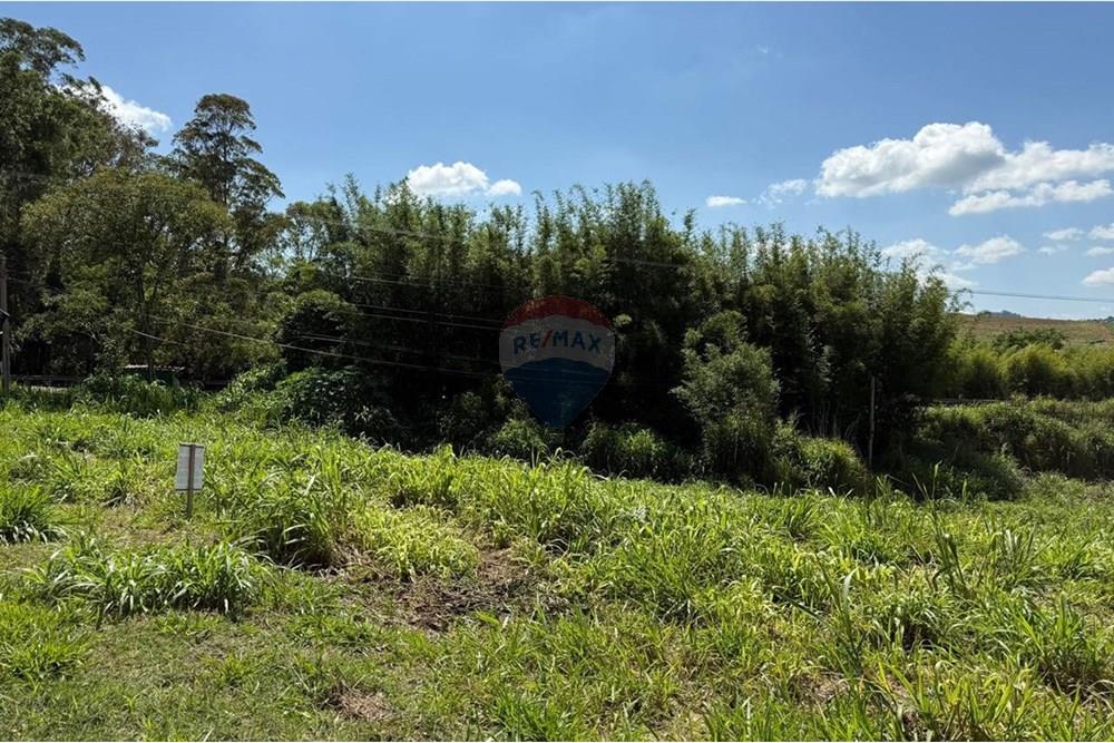 Terreno - Venda - Tuiuti , São Paulo - IMG-20251205-WA0121.jpg - 690041135-35