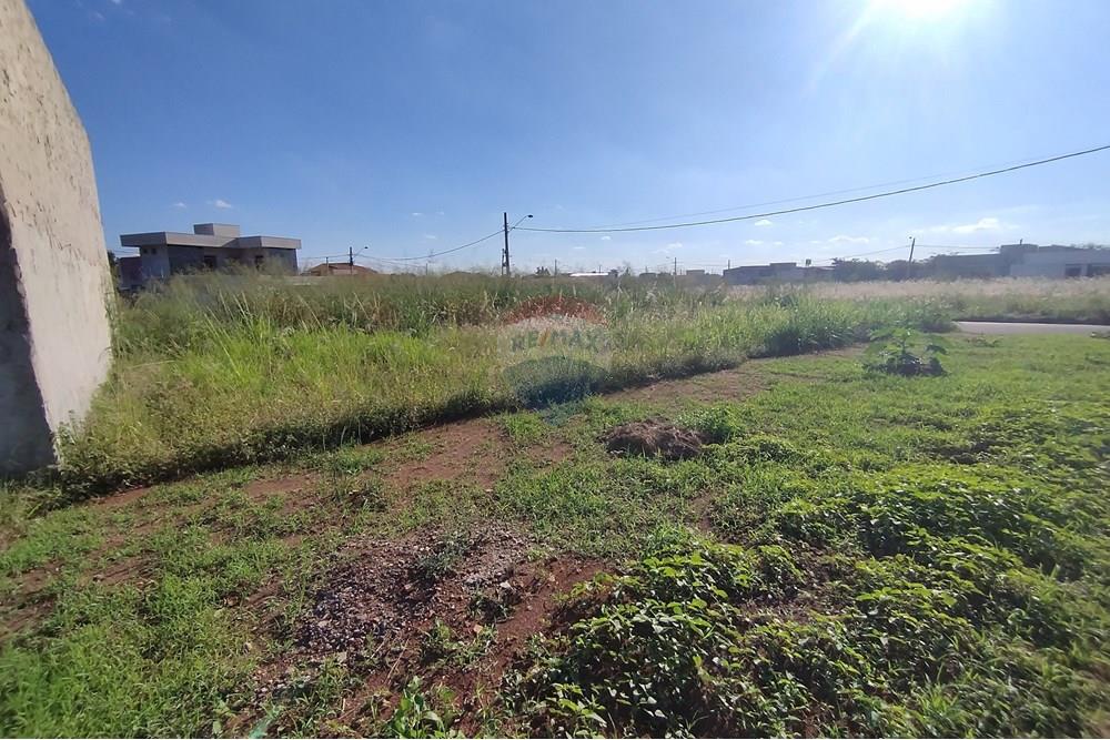 Terreno - Venda - Mogi Guaçu , São Paulo - IMG_20250430_153411.jpg - 690521005-80
