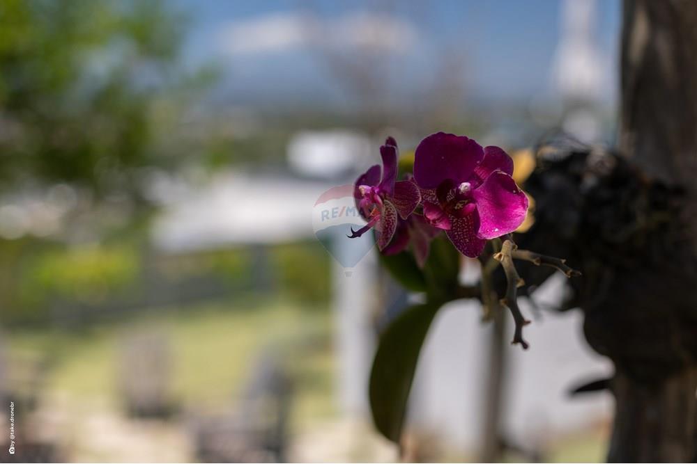 Casa de Condomínio - Alugar - Vinhedo , São Paulo - TKD-9729.jpg - 690941014-83