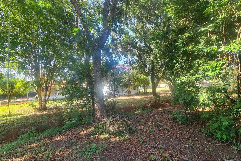 Agro - Alugar - Artur Nogueira , São Paulo - 20251120_155842.jpg - 690671009-93