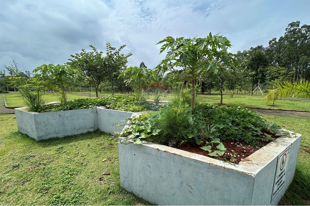 Apartamento - Venda - Piracicaba , São Paulo - IMG_3503.JPG - 690781020-240