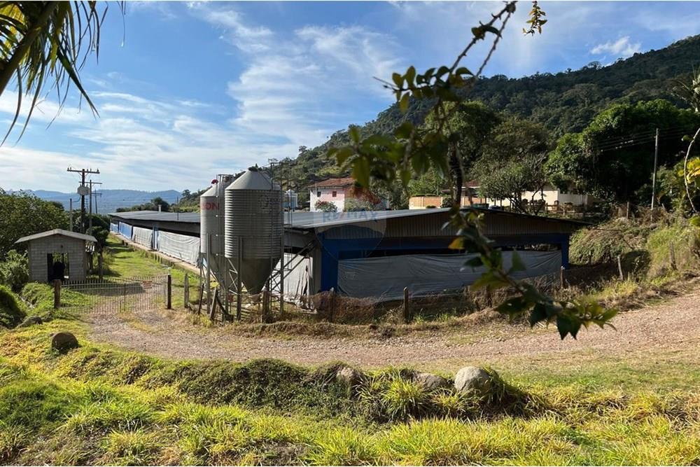 Chácara / Sítio / Fazenda - Venda - Bragança Paulista , São Paulo - GRANJA TANQUE (10).jpg - 690141085-32