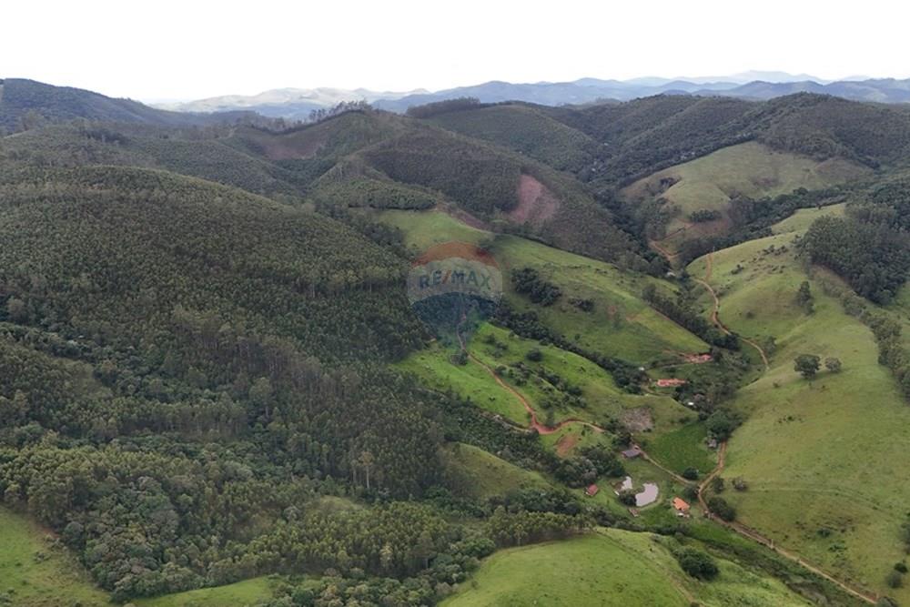 Chácara / Sítio / Fazenda - Venda - Piracaia , São Paulo - dji_fly_20260224_170606_0053_1771962578700_photo.jpg - 691011027-7