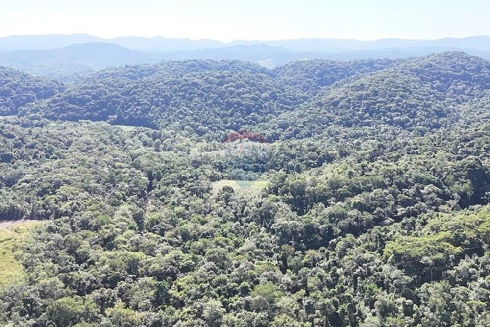 Fazenda - Venda - Miracatu , São Paulo - WhatsApp Image 2025-05-20 at 13.34.03.jpeg - 690061038-9