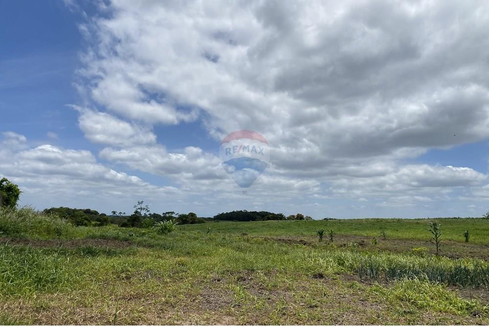 Fazenda - Venda - Iguape , São Paulo - IMG_5978.jpg - 690061038-14