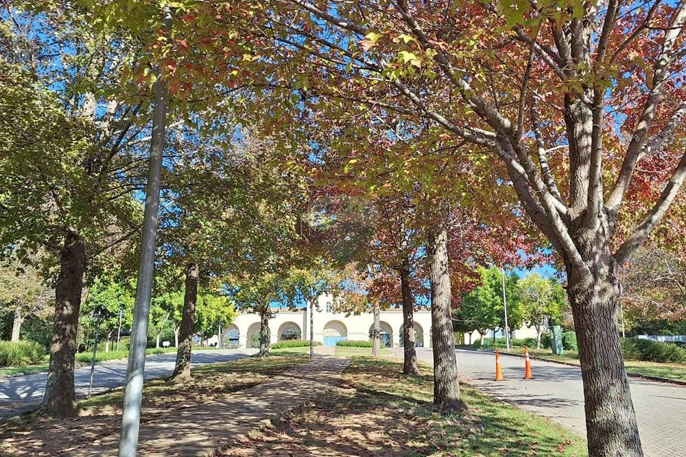 Casa de Condomínio - Alugar - Santana de Parnaíba , São Paulo - 2.20240803_092456.jpg - 691021016-60