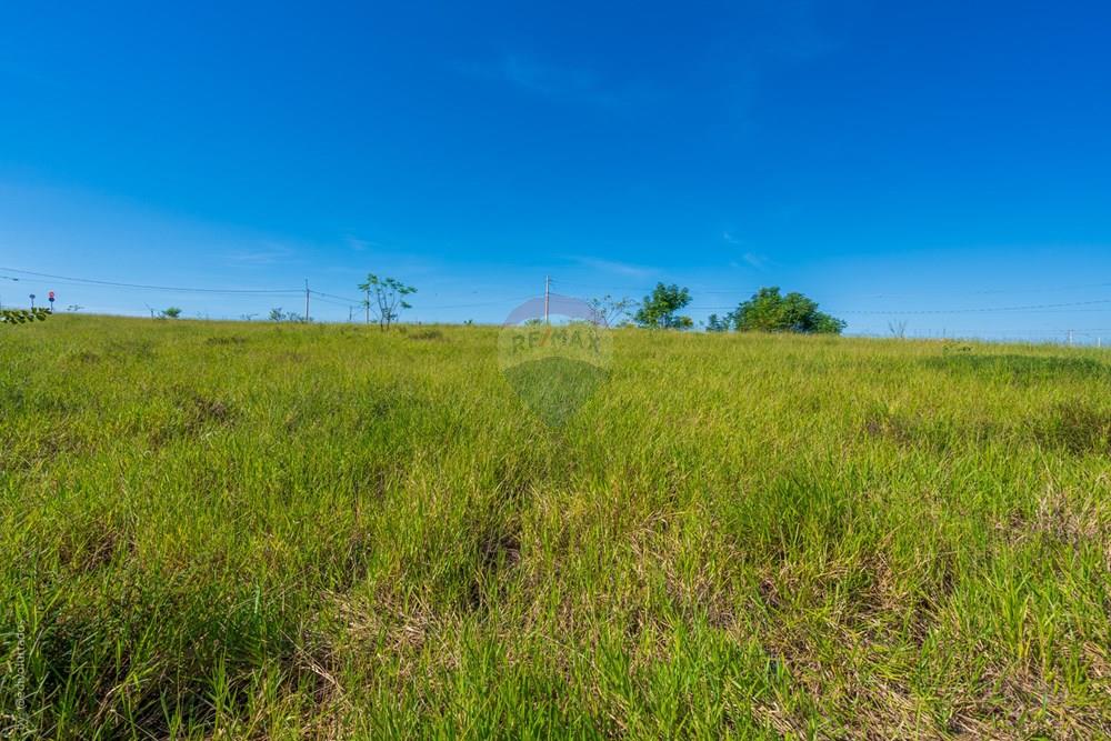 Terreno - Venda - Campinas , São Paulo - EDI08710RG98002306922 - MARCELO BRAGA - BELA ALIANCA.jpg - 690681202-4
