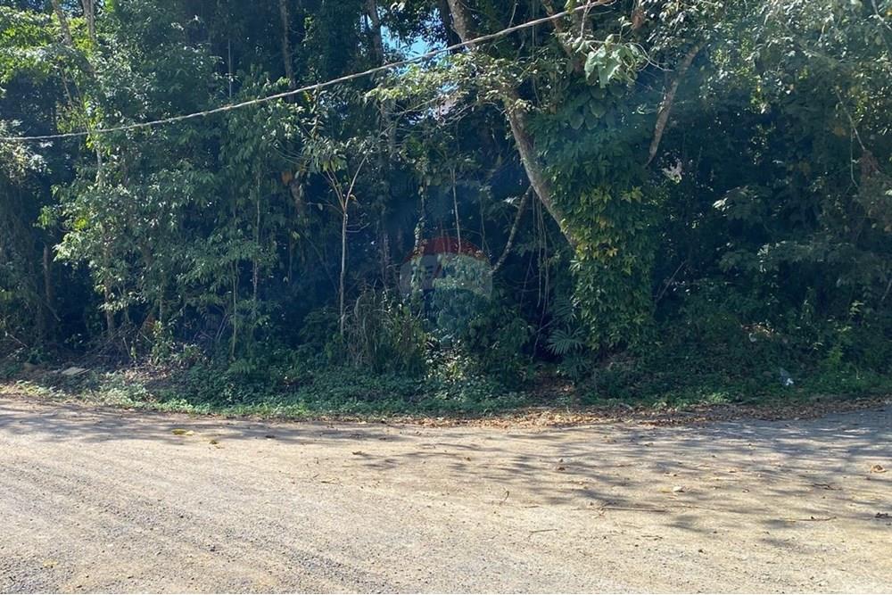 Terreno - Venda - Registro , São Paulo - Imagem do WhatsApp de 2025-09-03 à(s) 13.09.32_47563424.jpg - 690061045-8