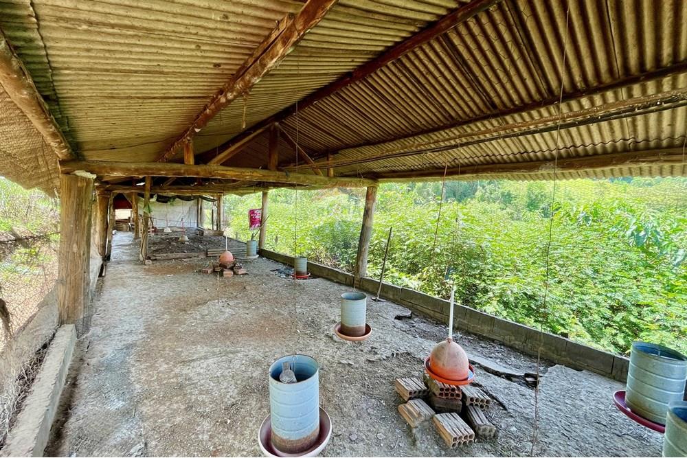 Fazenda - Venda - Campestre , Minas Gerais - IMG_6223.JPG - 690291077-293