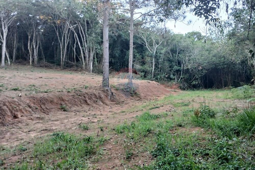 Terreno - Venda - Bragança Paulista , São Paulo - 20250530_164022.jpg - 690141085-18