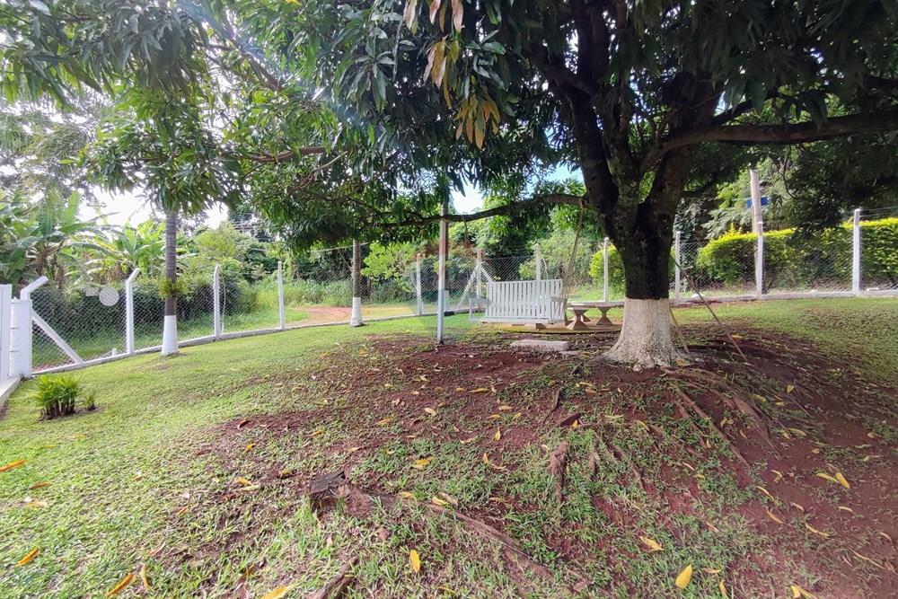 Chácara / Sítio / Fazenda - Venda - Mogi Mirim , São Paulo - 87.jpg - 690521007-331