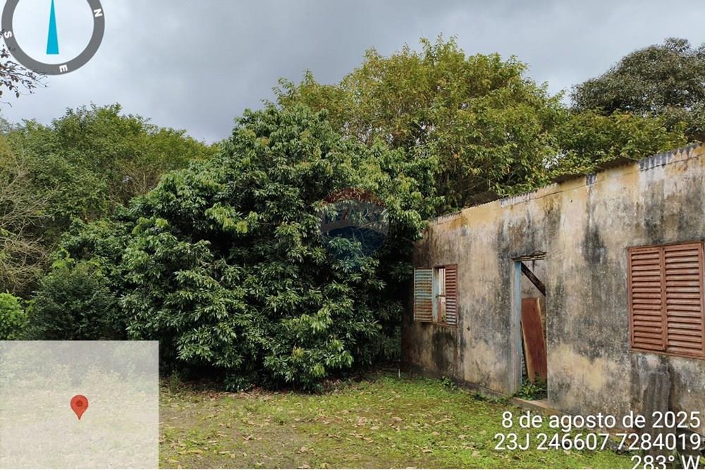 Fazenda - Venda - Iguape , São Paulo - WhatsApp Image 2025-08-11 at 16.22.26 (1).jpeg - 690061038-13