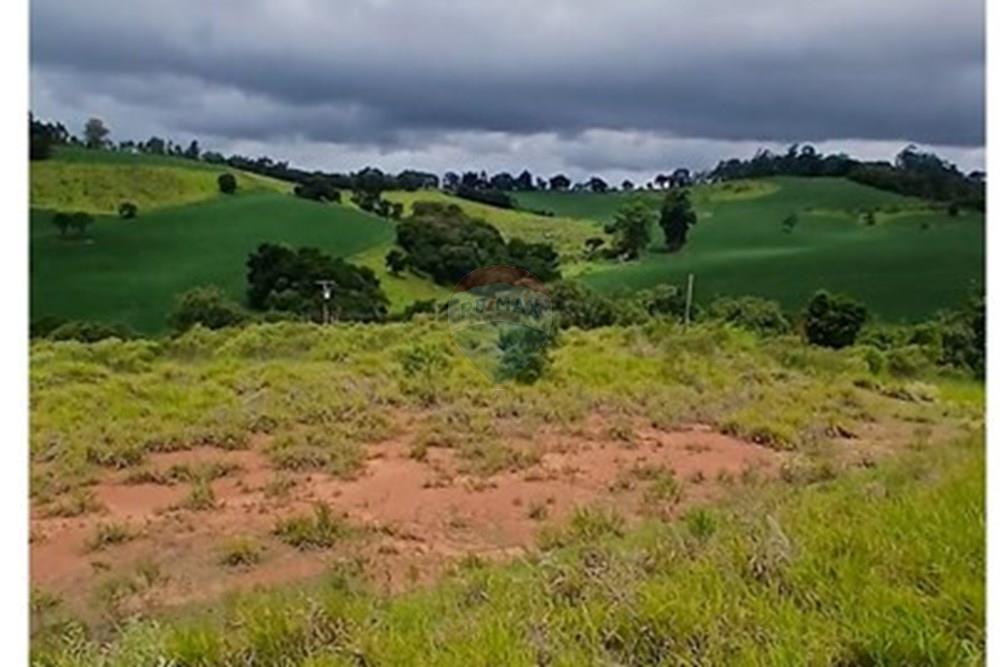 Chácara / Sítio / Fazenda - Venda - Pinhalzinho , São Paulo - Screenshot_20260128_163215_Photos.jpg - 690141085-40