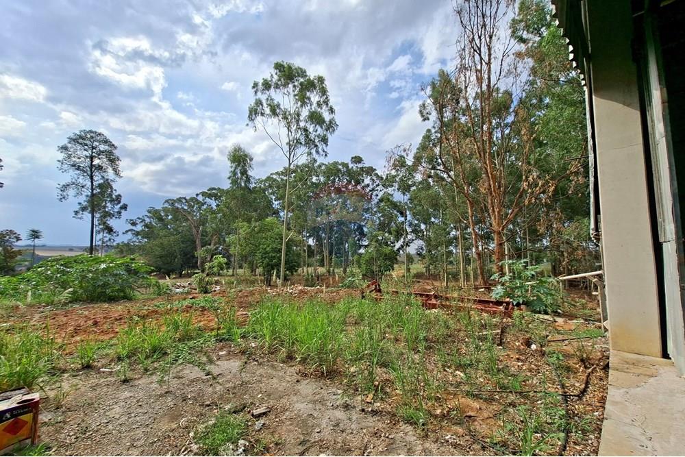 Galpão - Alugar - Mogi Mirim , São Paulo - 20251028_150344.jpg - 690751049-274