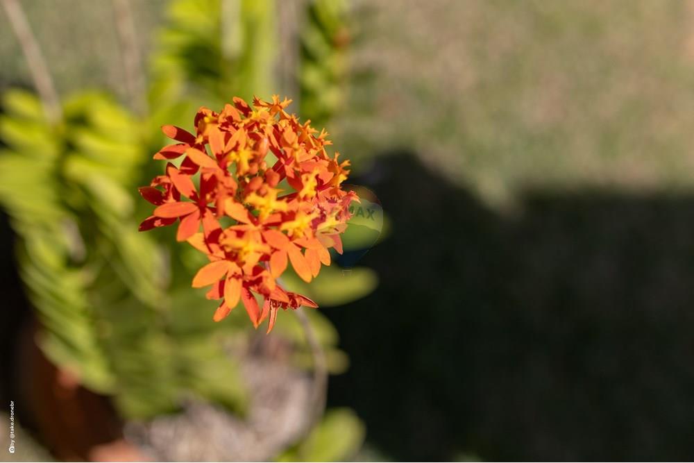 Casa de Condomínio - Venda - Vinhedo , São Paulo - TKD-9929.jpg - 690941025-167