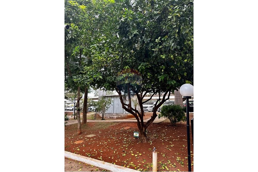 Apartamento - Venda - Limeira , São Paulo - IMG_1187.jpg - 690741007-97