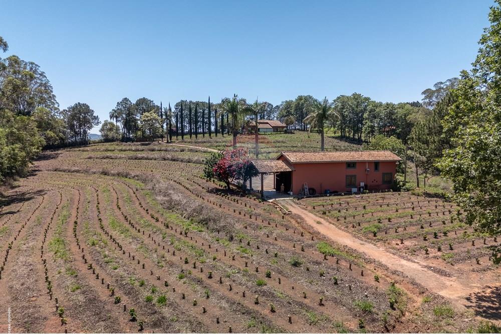 Chácara / Sítio / Fazenda - Venda - Morungaba , São Paulo - TKD-9531.jpg - 690661002-89