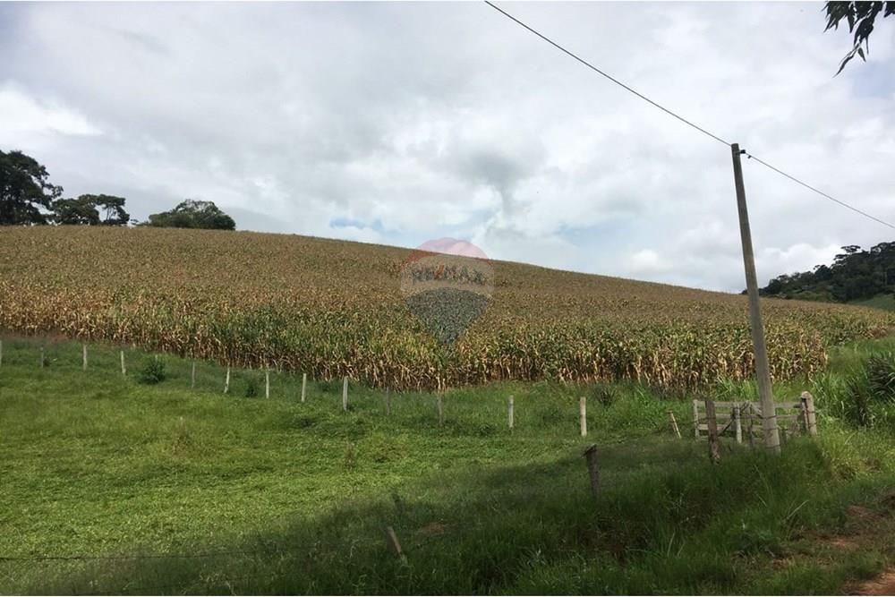 Fazenda - Venda - Socorro , São Paulo - WhatsApp Image 2025-05-14 at 13.19.38 (3).jpeg - Jardim Externo - 690521014-114