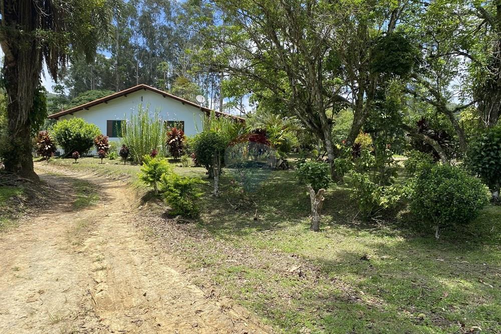 Fazenda - Venda - Pariquera-Açu , São Paulo - IMG_6140.jpg - 690061038-24