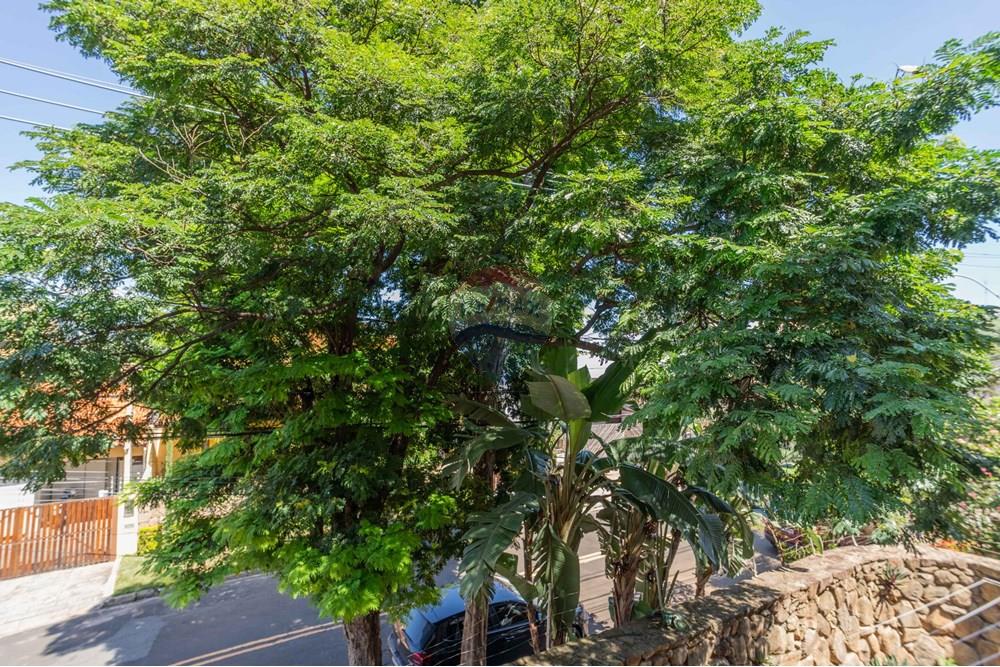 Casa - Alugar - Campinas , São Paulo - FOTOS IMOBILIARIAS-90.jpg - 690681050-201