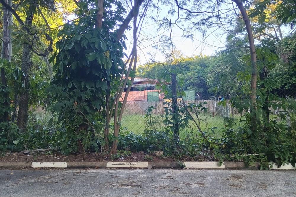 Terreno - Venda - São Pedro , São Paulo - b1a862e5-b709-4c4a-a4db-2a0871b28071.jpeg - 690571076-28