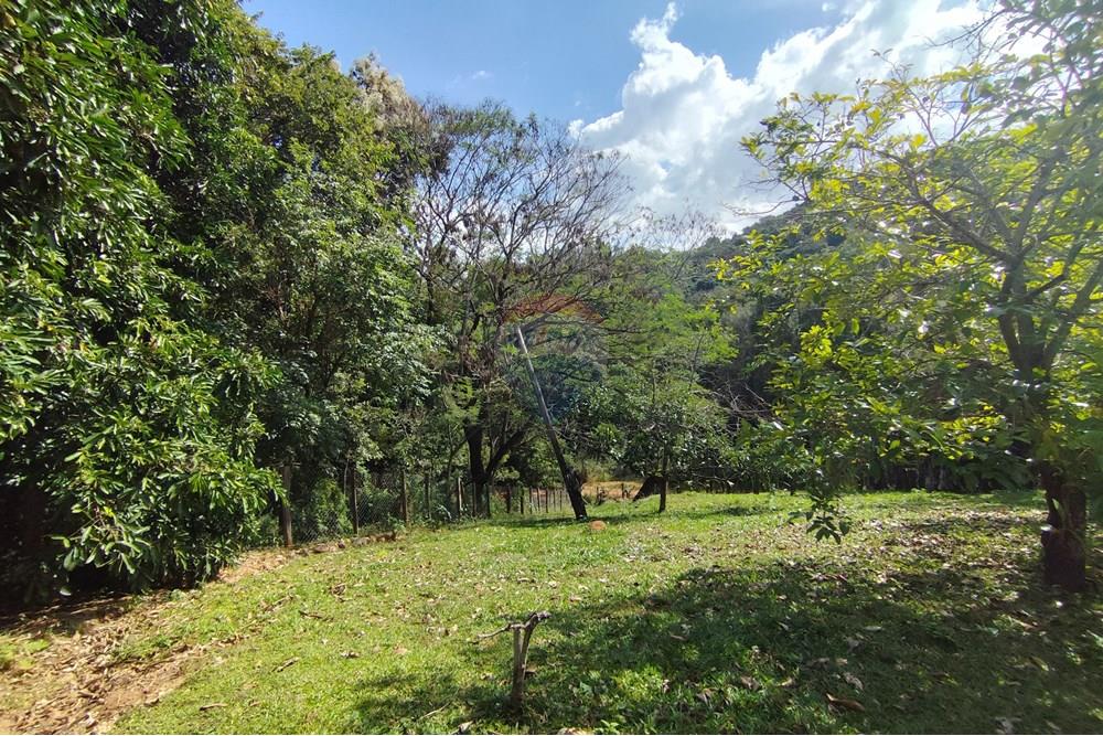 Chácara / Sítio / Fazenda - Venda - Itapira , São Paulo - 1751510168868.jpg - 690291085-364