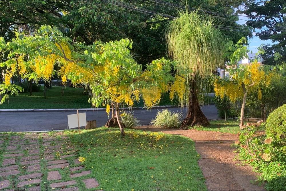 Casa de Condomínio - Venda - Santana de Parnaíba , São Paulo - Frente Florida.jpeg - 691081029-14