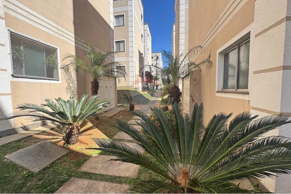 Apartamento - Alugar - Piracicaba , São Paulo - Imagem do WhatsApp de 2025-08-27 à(s) 07.41.01_4b6b9d47.jpg - 690781173-3