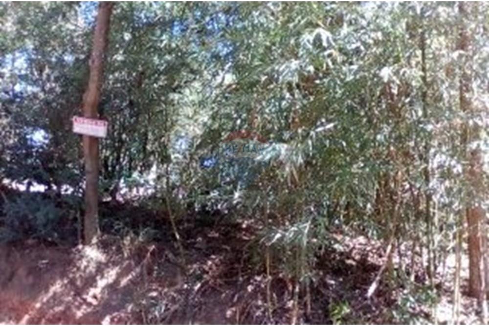 Terreno - Venda - Atibaia , São Paulo - Terreno 720m² Rua São Paulo - Portão Atibaia 3.jpg - 690921134-4