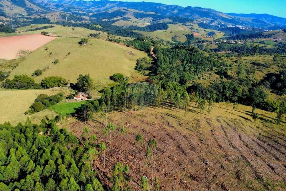 Chácara / Sítio / Fazenda - Venda - Socorro , São Paulo - dji_fly_20250617_093948_196_1750164015074_photo_optimized.jpg - 690291056-39