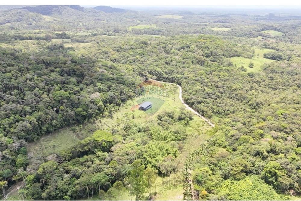 Fazenda - Venda - Pariquera-Açu , São Paulo - WhatsApp Image 2026-03-18 at 16.42.26.jpeg - 690061038-24