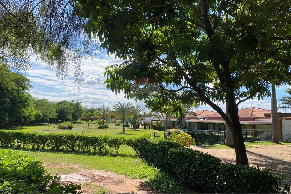 Terreno - Venda - Paulínia , São Paulo - IMG-20251211-WA0039.jpg - 690511297-13