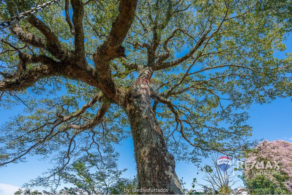 Chácara / Sítio / Fazenda - Venda - Itatiba , São Paulo - EDI07653EDIVOFURTADO-RG98002306922 SSPCE - Village das Palmeiras -  REDE PRO II - 690851098-2 - SERGIO MOTA E TERESA SOARES.jpg - Jardim Externo - 690851098-2