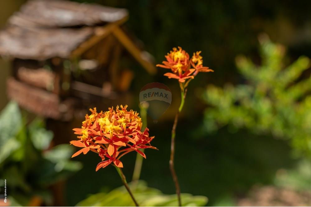 Casa de Condomínio - Venda - Vinhedo , São Paulo - TKD-9924.jpg - 690941025-167