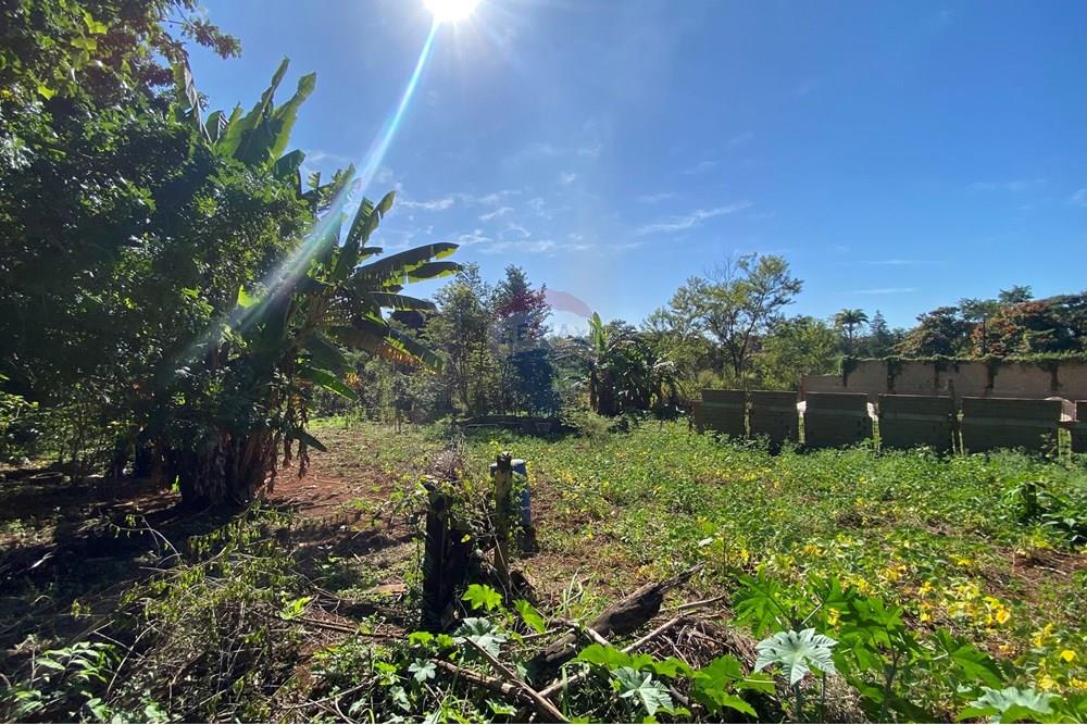 Terreno - Venda - Mogi Mirim , São Paulo - IMG_6554.JPEG - 690281041-98