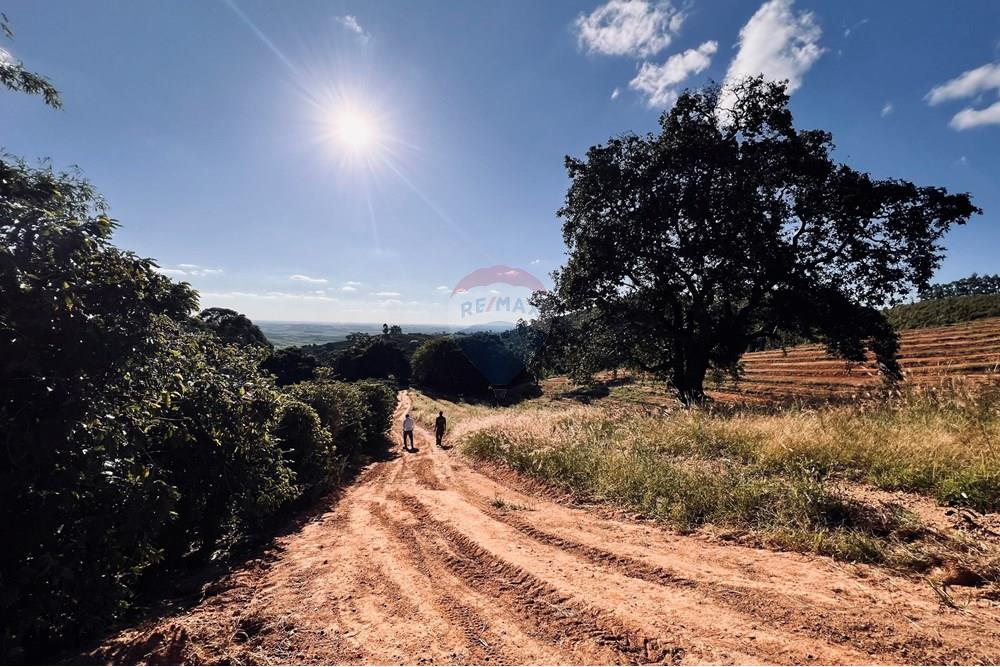 Chácara / Sítio / Fazenda - Venda - Serra Negra , São Paulo - IMG_4699.jpg - 690291056-34