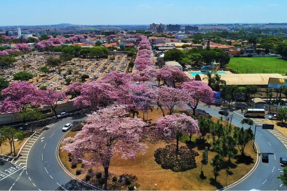Terreno - Venda - Paulínia , São Paulo - Captura de tela 2025-04-14 134857.jpeg - 690511042-286
