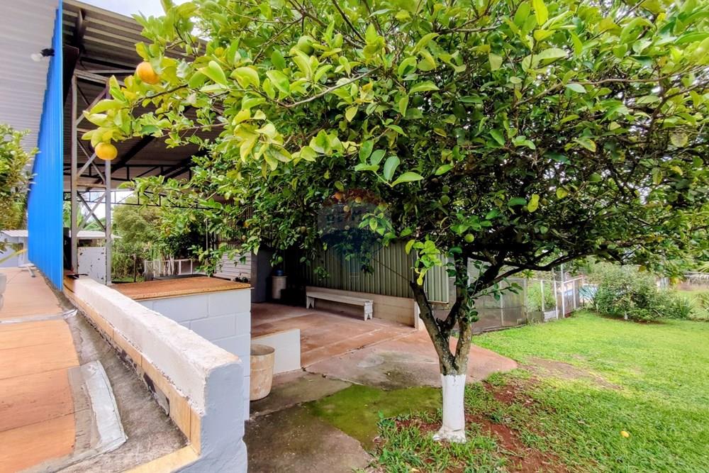 Chácara / Sítio / Fazenda - Venda - Mogi Mirim , São Paulo - 80-.jpg - 690521007-331