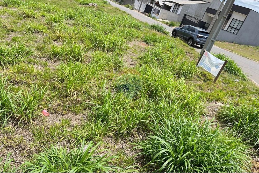 Terreno - Venda - Bragança Paulista , São Paulo - IMG-20251014-WA0047.jpg - 690041101-13