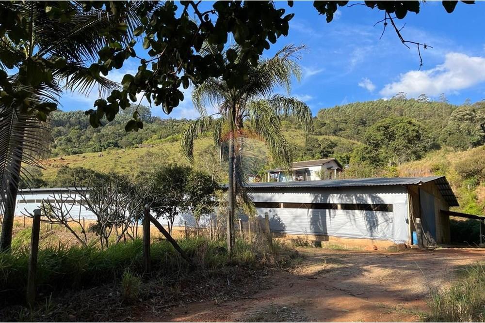 Chácara / Sítio / Fazenda - Venda - Bragança Paulista , São Paulo - GRANJA TANQUE (11).jpg - 690141085-32