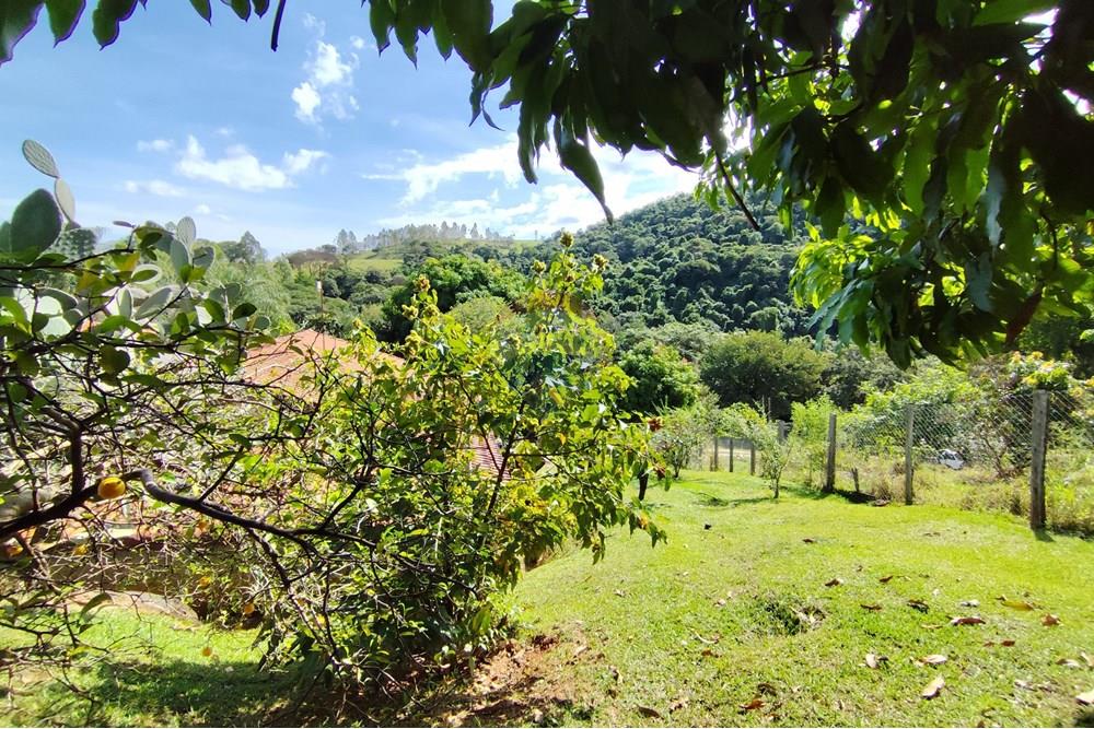 Chácara / Sítio / Fazenda - Venda - Itapira , São Paulo - 1751510168667.jpg - 690291085-364