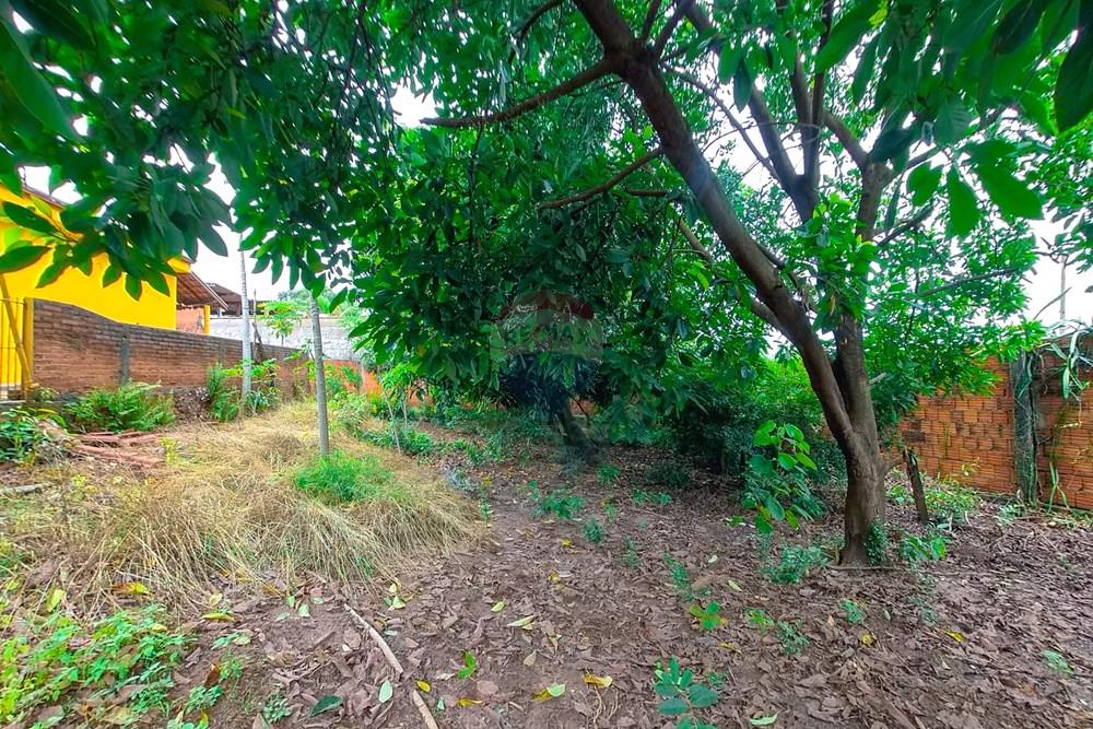 Terreno - Venda - Rio Claro , São Paulo - Tratada-2 (1).jpg - 690691027-198