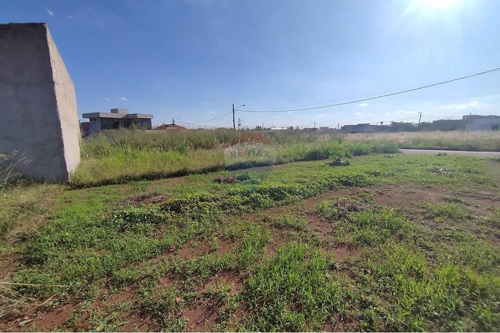 Terreno - Venda - Mogi Guaçu , São Paulo - IMG_20250430_153356.jpg - 690521005-80