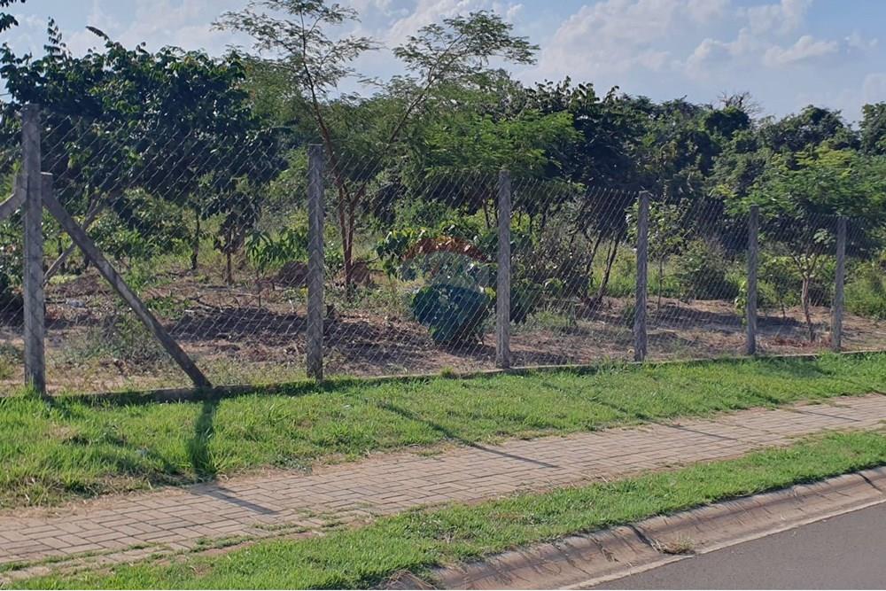 Terreno - Venda - Monte Mor , São Paulo - Rua frente terreno.jpg - 690531104-12