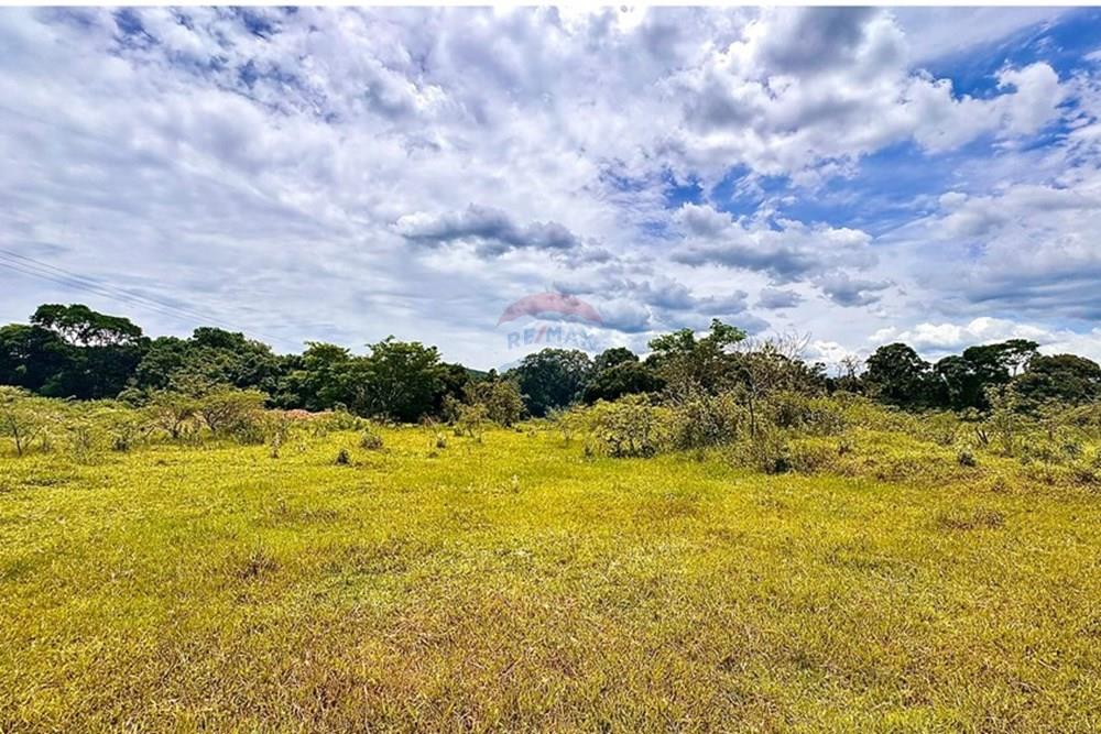 Terreno - Venda - Bragança Paulista , São Paulo - IMG_8980.JPEG - 690041040-55