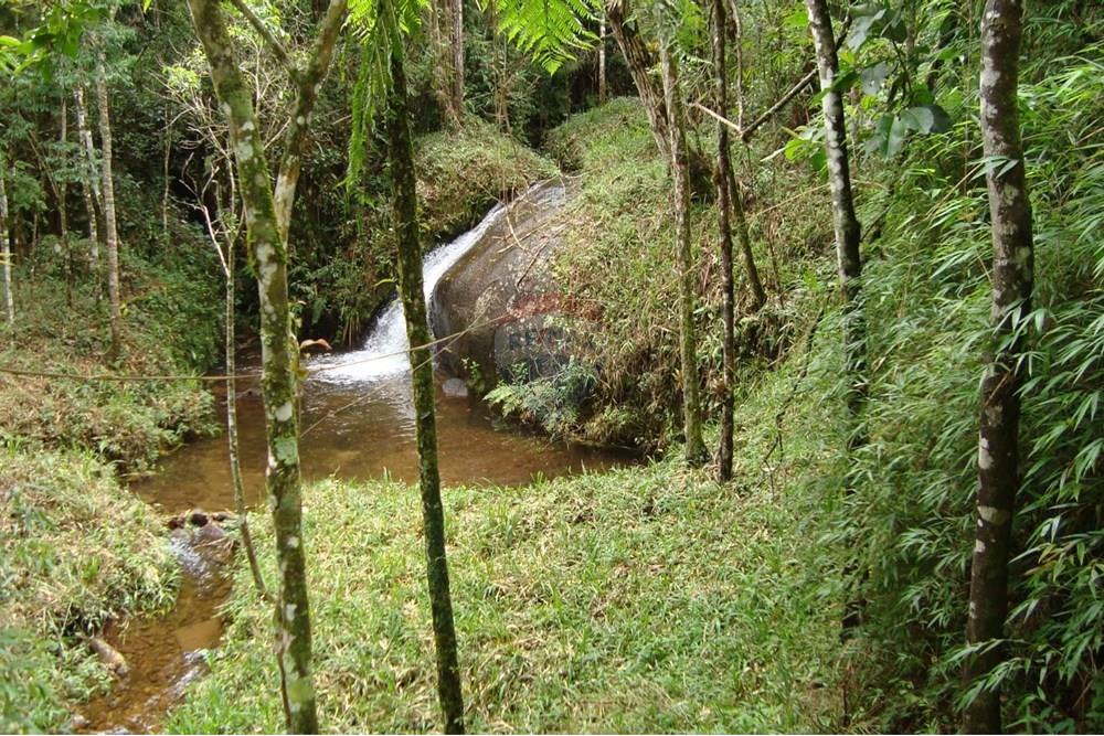 Chácara / Sítio / Fazenda - Venda - Joanópolis , São Paulo - WhatsApp Image 2025-02-04 at 18.23.50.jpeg - 691011021-45