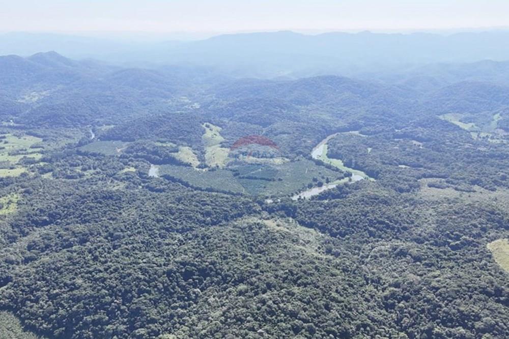 Fazenda - Venda - Miracatu , São Paulo - WhatsApp Image 2025-05-20 at 13.34.13 (1).jpeg - 690061038-9