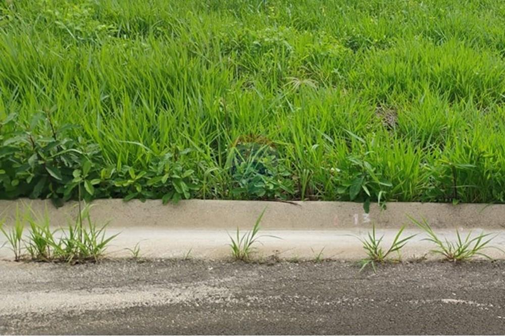 Terreno - Venda - Itapira , São Paulo - WhatsApp Image 2026-02-08 at 21.42.06 (1).jpeg - 690291072-19