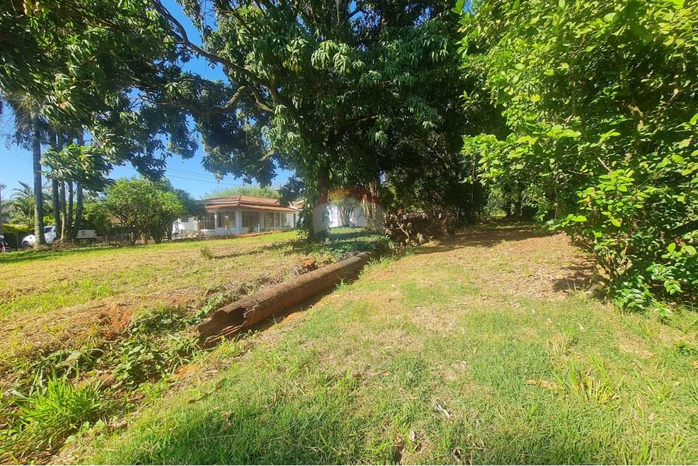 Agro - Alugar - Artur Nogueira , São Paulo - 20251120_155742.jpg - 690671009-93