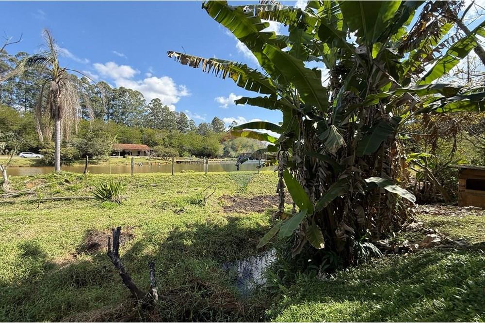 Chácara / Sítio / Fazenda - Venda - Ouro Fino , Minas Gerais - 74c29768-c80c-43c2-9eef-be60bbd20523.jpg - Quintal - 690521014-121